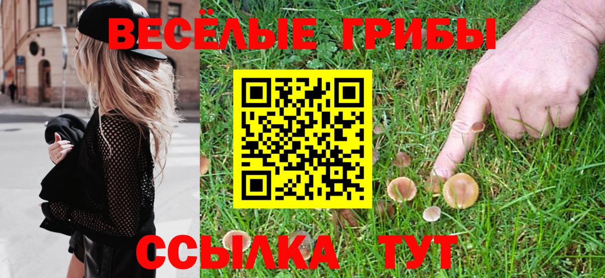 Псилоцибиновые грибы Psilocybe  Вход с VPN  что такое наркотик  Нижний Новгород  Галлюциногенные грибы Cubensis 